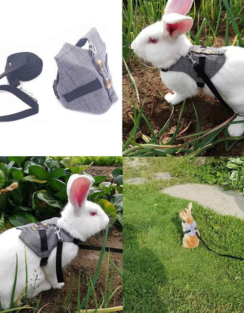 Load image into Gallery viewer, Rabbit Vest Harness and Leash Set Adjustable Formal Suit Style for Bunny Kitten Small Animal Walking (S)
