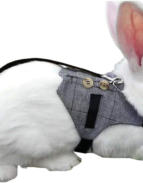 Load image into Gallery viewer, Rabbit Vest Harness and Leash Set Adjustable Formal Suit Style for Bunny Kitten Small Animal Walking (S)
