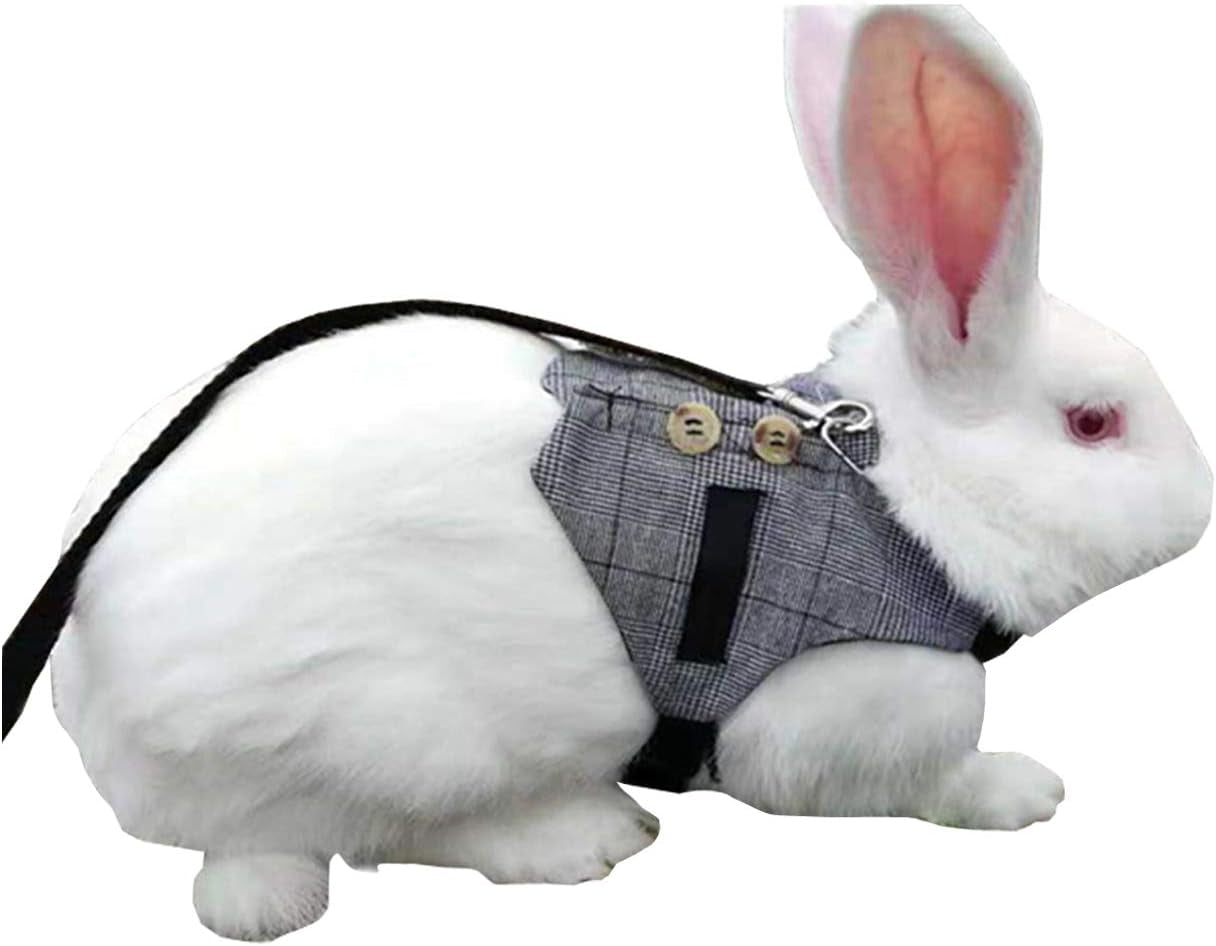 Rabbit Vest Harness and Leash Set Adjustable Formal Suit Style for Bunny Kitten Small Animal Walking (S)