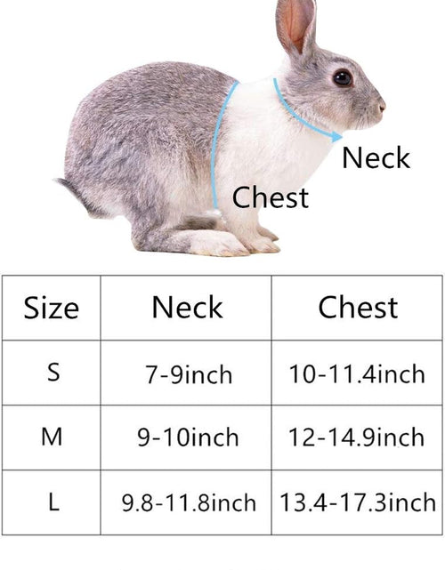 Load image into Gallery viewer, Rabbit Vest Harness and Leash Set Adjustable Formal Suit Style for Bunny Kitten Small Animal Walking (S)
